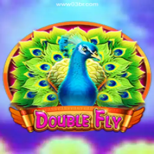 Exploring DoubleFly: A Fascinating Journey into Brazilian Online Gaming